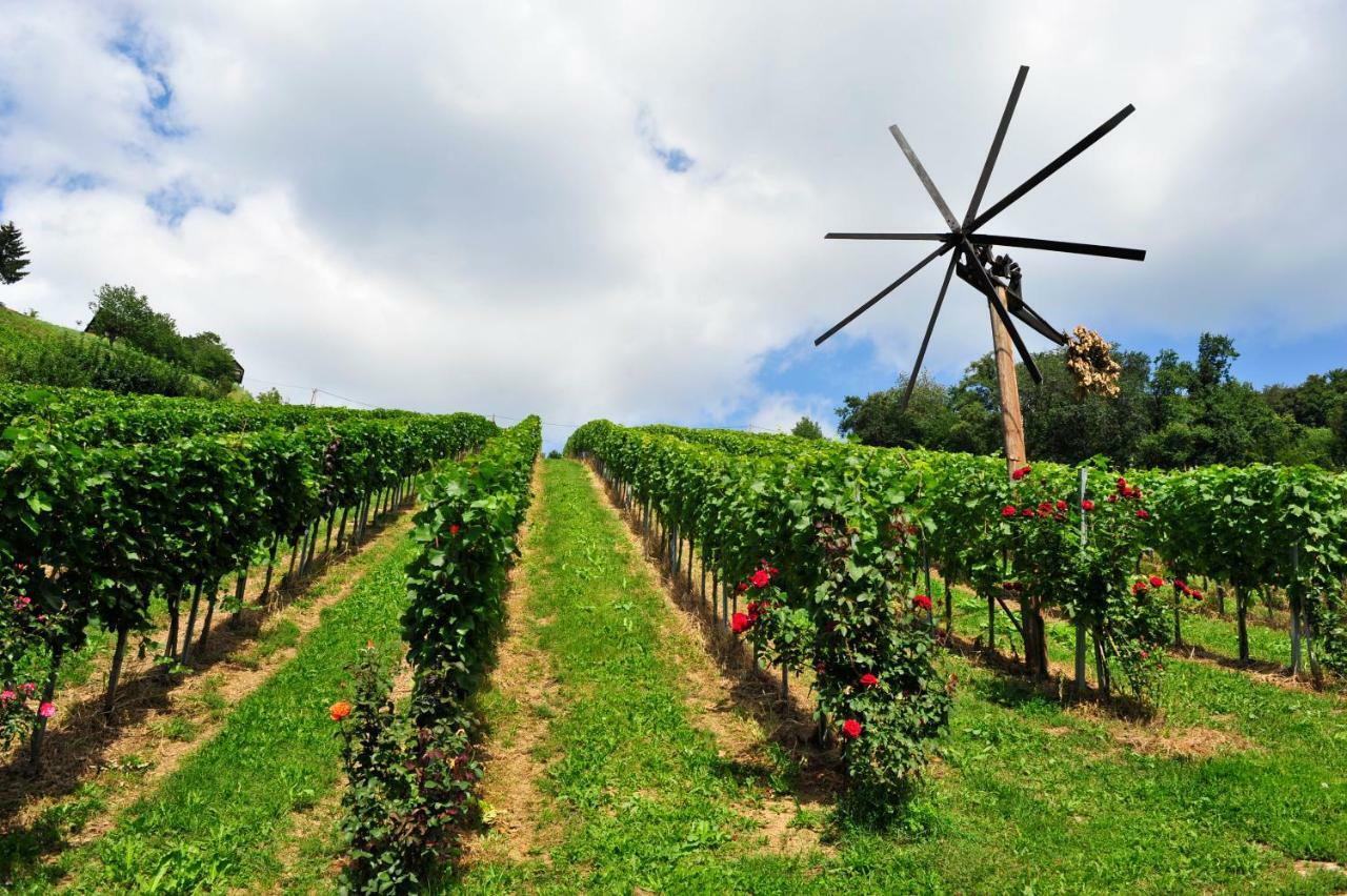 Weingut Stoff Bed and Breakfast Kitzeck im Sausal Buitenkant foto