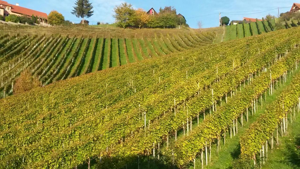 Weingut Stoff Bed and Breakfast Kitzeck im Sausal Buitenkant foto