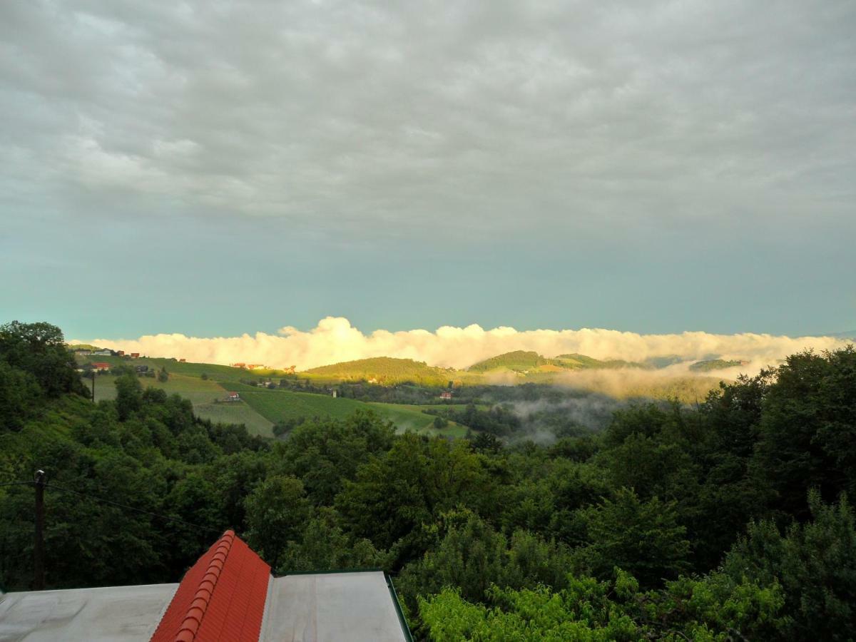 Weingut Stoff Bed and Breakfast Kitzeck im Sausal Buitenkant foto